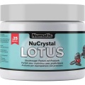 Numatic Staubsauger Deo NuCrystal Lotus
