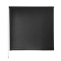 Sichtschutzrollo | Daylight | Breiten: 55 Bis 160 Cm | Ohne Bohren Unisex Schwarz