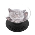 Popsockets 800947 Cat Nap - Handy Griff und Ständer (Mehrfarbig)