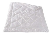 DORBENA, Leicht-Duvet Tussah Wildseide, GLADIOLA CLASSIC Leicht-Duvet Tussah Wildseide, GLADIOLA CLASSIC