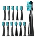 Ailoria 12er Pack Flash Travel Bürstenkopf Zubehör schwarz