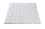 4-Saisons-Duvet Daunen, SANITIZED 4-Saisons-Duvet Daunen, SANITIZED