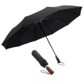 Alopini - Regenschirm großer sturmsicherer 2-Personen-Reiseschirm winddichter Taschenschirm öffnen-schließen Automatikschirm, One Size, Multicolor