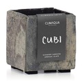 CLIMAQUA, CLIMAQUA Blumentopf CUBI 11 rostig