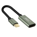 USB-C HDMI Adapter LinQ Grau
