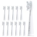 Ailoria, Ailoria 12er Pack Flash Travel Bürstenkopf Zubehör weiss