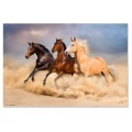 CoverYourDesk - (60x40cm) Schreibtisch Unterlage Anti-Rutsch Pult Matte (CD7000) - Pferde