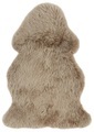 Fell DAISY, Micasa