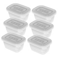 Rotho Set Gefrierdosen 6 x 0.25 l FREEZE Küche