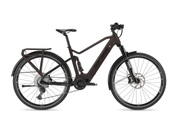 Tour de Suisse, Tour de Suisse Freigeist 45 E-Bike 45km/h grau