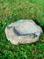 Frosch und Eidechse Vogeltränke