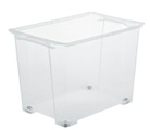 Rotho Box mit Rädern 65 l EVO EASY