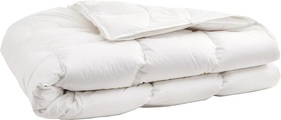 Micasa, Daunen/Gänsedaunen-Duvet SANADAUN 4-seasons