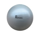 Perform Gym-Ball ABS Ø 65 cm