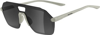 Alpina Beam I Sonnenbrille grau 2022 Sonnenbrillen