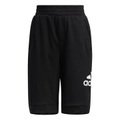 Adidas Knit Shorts Freizeitshorts schwarz