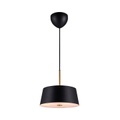Pendelleuchte Clasi 30 in Schwarz mit Diffusoren