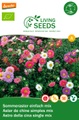 Living Seeds, Living Seeds Sommeraster, Mischung Blumensamen