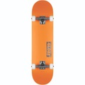 Globe Goodstock Completes Skateboard