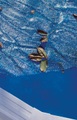 GRE, Gre Poolplane Oval 730 x 375 cm