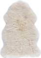 Fell DAISY, Micasa