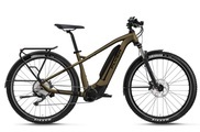 FLYER Goroc2 2.10 29' E-Bike schlamm