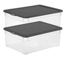 Rotho Clear Men Shoe 10 l mit Deckel, 2er-Set Aufbewahrungsbox