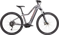 Crosswave Stone 3.9 29' E-Mountainbike (Hardtail) anthrazit