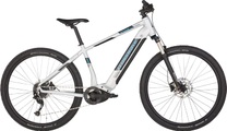 Crosswave Stone 3.9 SX E-Mountainbike (Hardtail) silber