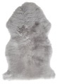 Fell DAISY, Micasa