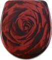 DIAQUA WC SITZ ROSE NICE