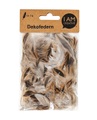 Dekofedern, Federn für Dekorationen und zum Basteln, Naturtöne, 5 - 8 cm, ca. 3 g