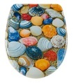 diaqua WC-Sitz Nice Shell Slow Motion