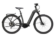 FLYER, FLYER Gotour6 5.20 E-Bike anthrazit