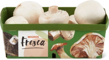 Fresca, Wauwiler Champignons weiss