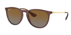 Ray-Ban Sonnenbrillen RB4171 Erika Polarized 6593T5