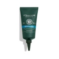 L'Occitane en Provence, Sérum Rééquilibrant Cuir Chevelu - 75 - L'Occitane en Provence