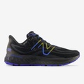 880 v13 Gore-Tex® Herren Laufschuh