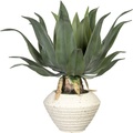Globen Lighting, Agave in Keramikschale Globen Lighting Grün