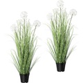 Grasbusch mit Pusteblumen, VE 2 Stk im Topf, Höhe 980 mm