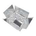 Thermobox-Set, kühlt bis 48 h, Innenmaße 400 x 300 x 250 mm, 8 Kühlkissen