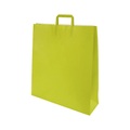 Papiertragetasche BASIC, Außen-LxB 500 x 140 mm, VE 150 Stk, hellgrün, 100 g/m²