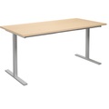 Mehrzwecktisch DUO-T, gerade Platte, BxT 1600 x 800 mm, Birke, silber