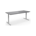 Mehrzwecktisch DUO-T, gerade Platte, BxT 1800 x 800 mm, lichtgrau, silber