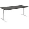 Mehrzwecktisch DUO-T, gerade Platte, BxT 1800 x 800 mm, dunkelgrau, weiß