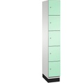 CP CAMBIO Fächerschrank mit Stahlblech-Türen 5 Fächer, Breite 300 mm Korpus lichtgrau / Tür lichtgrün