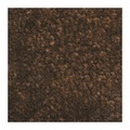 Schmutzfangmatte für innen, Flor aus PP LxB 1800 x 1200 mm braun