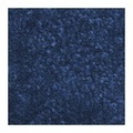Schmutzfangmatte für innen, Flor aus PP LxB 1500 x 900 mm blau