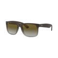 Ray-Ban RB 4165 Justin Rubber Brown on Gray 854/7Z