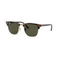 Ray-Ban CLUBMASTER Grün / Schildpatt auf Gold M